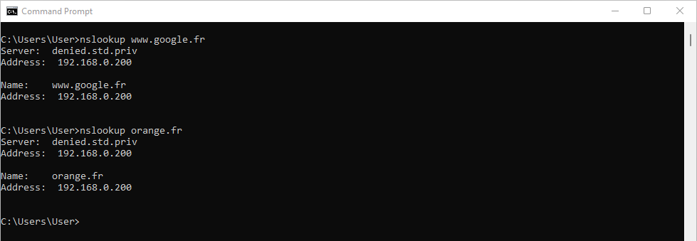 Capture d'écran de la fenêtre de commandes Windows (CMD) avec deux commandes 'nslookup'