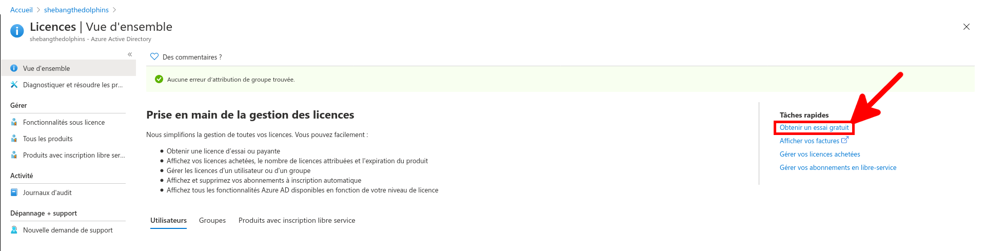 Azure Portal | Create a tenant, validation passed