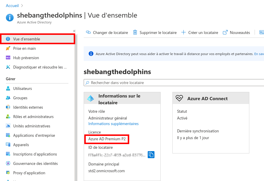 Azure Portal | Create a tenant, validation passed