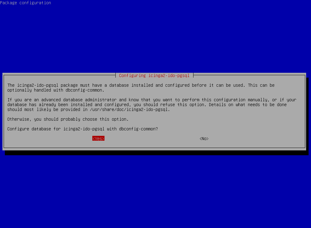 Debian installer asking to configure the PostgreSQL database for icinga2-ido-pgsql using dbconfig-common.
