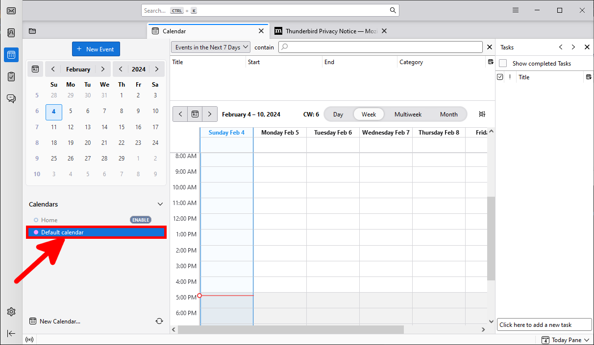 Thunderbird main Calendar interface with shared calendar