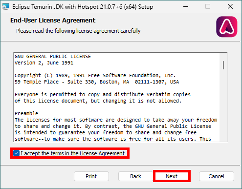 Eclipse Temurin JDK setup license agreement with checkbox selected and Next button highlighted