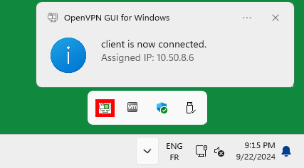 Notification confirming the VPN tunnel is active with assigned IP 10.50.8.6, and the OpenVPN icon in the system tray.