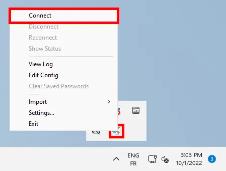 OpenVPN menu to establish a vpn connection.